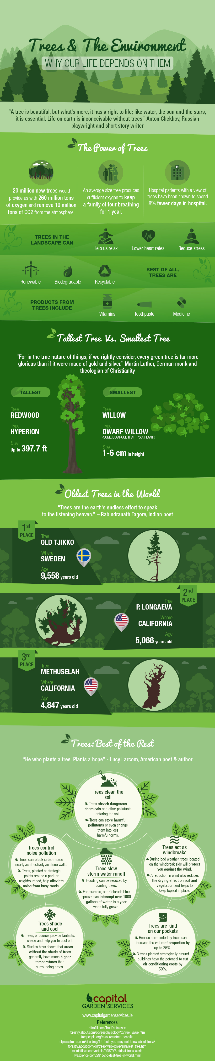 Trees & The Environment: Why Our Life Depends On Them Infographic