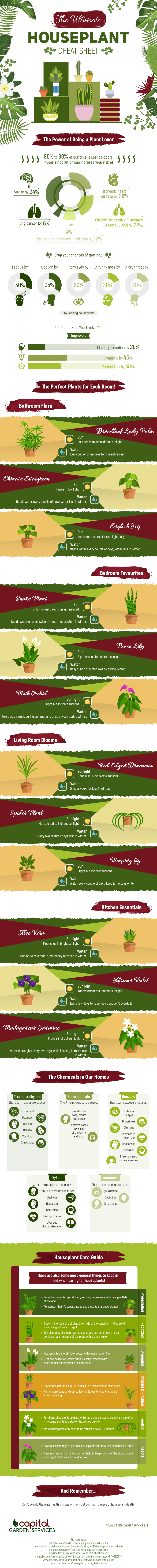 The Ultimate Houseplant Cheat Sheet Infographic