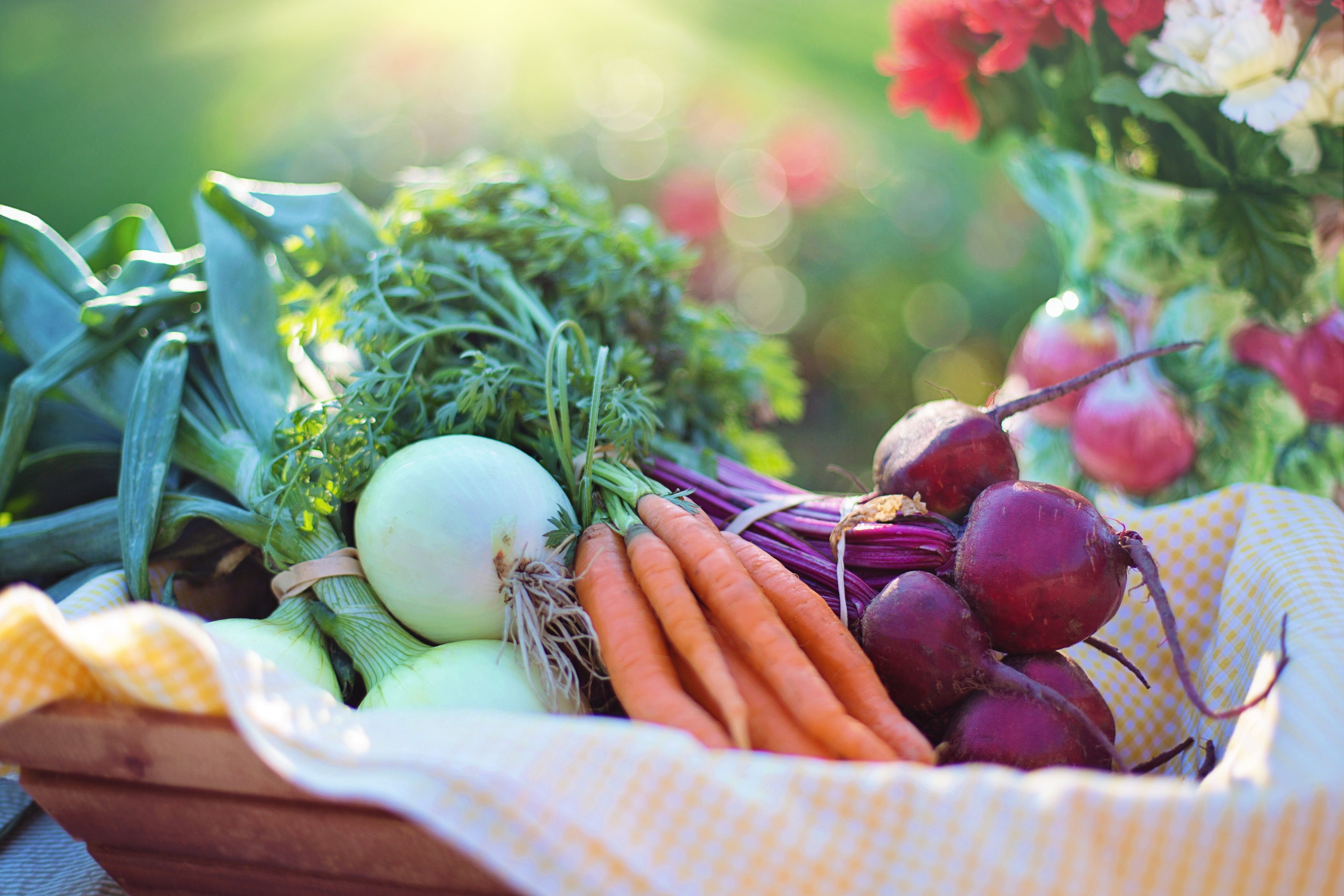 Harvesting your fruit and vegetables in July