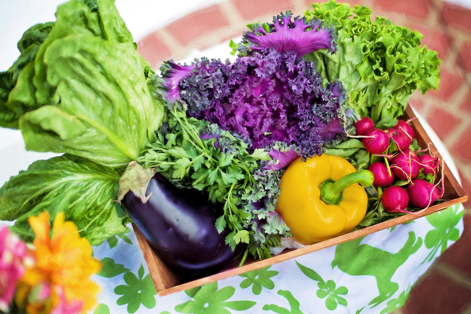 Vegetables from the August Harvest