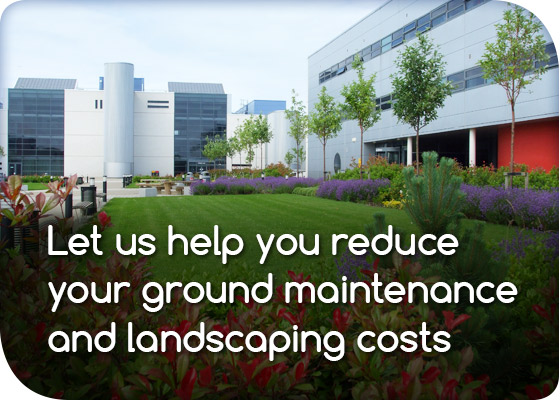 Ground Maintenance Services
